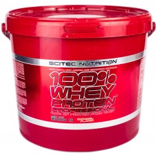 Протеин Scitec Nutrition 100% Whey Protein Professional 5000 грамм Карамель (101821-3)