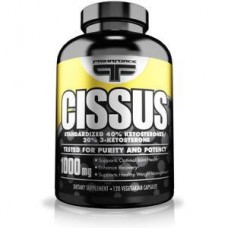 Препарат для восстановления суставов и связок Primaforce Cissus 120 капсул (104575) Препарат для восстановления суставов и связок Primaforce Cissus 120 капсул (104575)