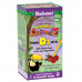 Витамин Д3 для детей Bluebonnet Nutrition Rainforest Animalz Vitamin D3 400 IU 90 таблеток (333063)