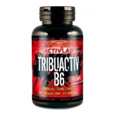 Трибулус Activlab Tribuactiv B6000 90 капсул (101734) Трибулус Activlab Tribuactiv B6000 90 капсул (101734)