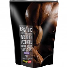 Креатин Power Pro Creatine Maximum Recovery 500 грамм Мохито (102272-2) Креатин Power Pro Creatine Maximum Recovery 500 грамм Мохито (102272-2)