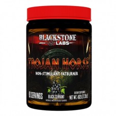 Жиросжигатель Blackstone Labs Trojan Horse 492 грамм Черная смородина (104389) Жиросжигатель Blackstone Labs Trojan Horse 492 грамм Черная смородина (104389)