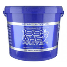 Протеин Scitec Nutrition 100% Whey Protein 5000 грамм Апельсиновый крем (101820-5)