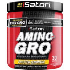 Аминокислота Isatori Amino-Gro 270 грамм Холодный лимонад (104199-2) Аминокислота Isatori Amino-Gro 270 грамм Холодный лимонад (104199-2)