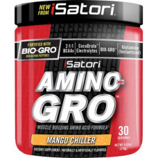 Аминокислота Isatori Amino-Gro 270 грамм Манго (104199-3) Аминокислота Isatori Amino-Gro 270 грамм Манго (104199-3)