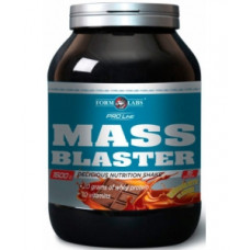 Гейнер Form Labs Mass Blaster 1000 грамм Шоколад (103727-4)