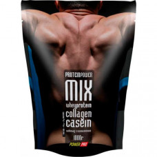 Протеин Power Pro Protein Power MIX 1000 грамм Циннамон (101475-3)